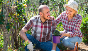5 Clever Ways Homeowners Can Take Advantage of Daylight Savings