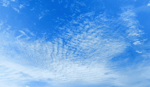 The Power of Natural Daylight