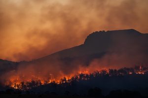 3 Essential Factors to Know About Installing Skylights in Bushfire Prone Areas